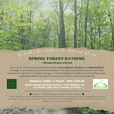 Spring Forest Bathing + Nature Walk For Women