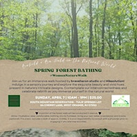 Hauptbild für Spring Forest Bathing + Nature Walk For Women