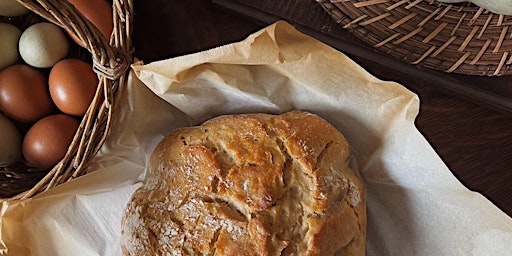 Imagem principal de Sourdough Making Class with Lynn of Daily Bread Sourdough