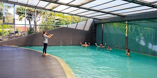 Hauptbild für Aquatherapy