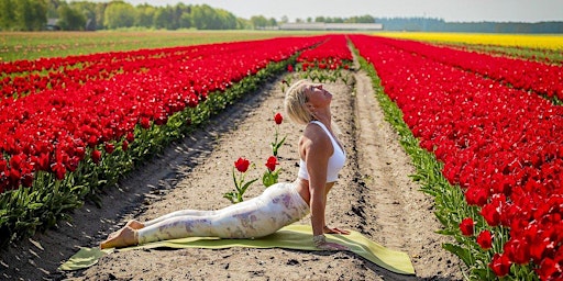 Imagem principal do evento Lezione di Yoga tra i Tulipani
