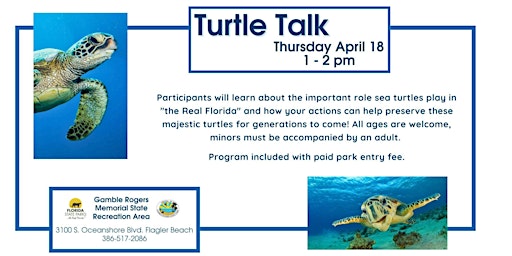 Imagem principal do evento Turtle Talk: A Sea Turtle's Journey