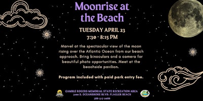 Moonrise at the Beach primary image