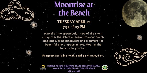 Moonrise at the Beach primary image