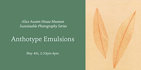 Workshop: Anthotype Emulsions