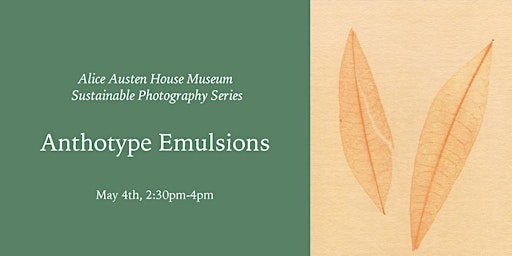 Workshop: Anthotype Emulsions primary image