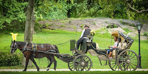 CENTRAL PARK HORSE CARRIAGE TOUR 2024 | NYC ELITE RIDES primary image