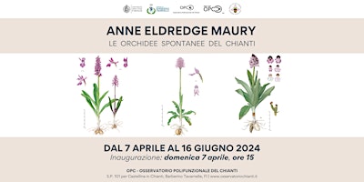 Imagem principal do evento Le Orchidee spontanee del Chianti di Anne Eldredge Maury
