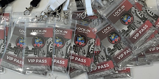 Immagine principale di Lock-In VIP Passes 