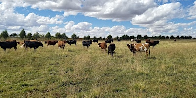 Immagine principale di 2024 Land Management Workshop Series - Pasture Renovation and Grazing Mngmt 