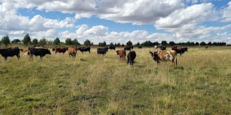 2024 Land Management Workshop Series - Pasture Renovation and Grazing Mngmt