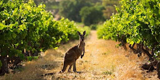 Hauptbild für Premium Australia: A Journey Down Under