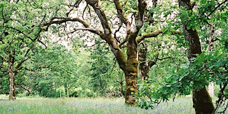 Garry Oak Ecosystem Restoration Project