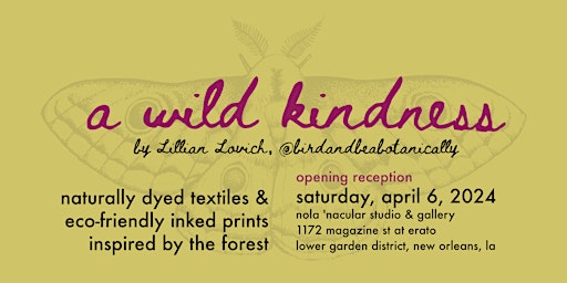 Imagen principal de “a wild kindness” opening art reception