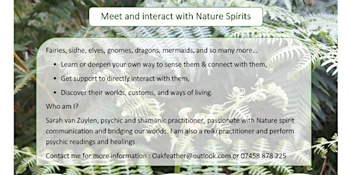 Primaire afbeelding van Nature spirit & Sidhe connection workshop