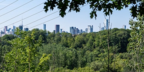 NatureTO: Our Urban Forest