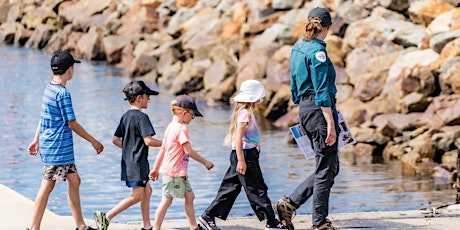 Wild Harvest Rockpool Ramble- Bastion Point Mallacoota  primärbild