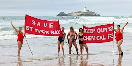 Swim for the Sea - Keep our Sea Chemical Free