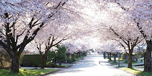 Hauptbild für Cherry Blossom Photo Walk and Sony