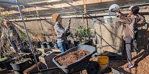 Compost Kickstart: The Art of Turning Food Scraps into Healthy Soil primary image