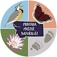 Western Screech Owl Surveys with Montana Audubon primary image