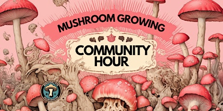 Mushroom Growing & Mycology Community Hour