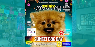 Furry Spring Sunset Dog Day primary image