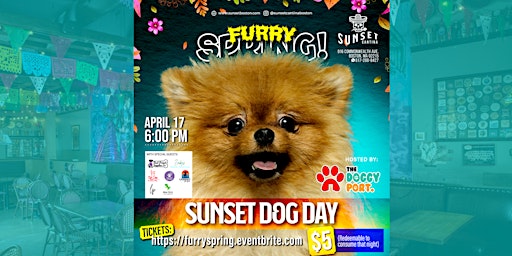 Primaire afbeelding van Furry Spring Sunset Dog Day