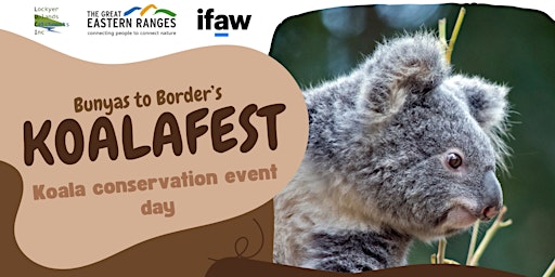 Imagem principal do evento KoalaFest - Koala conservation event day