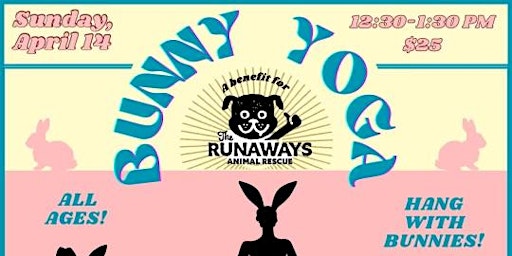 Primaire afbeelding van Bunny Yoga