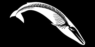 Melville's Marine Megacosm! primary image