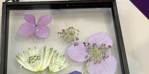 Pressed Flower Workshop primary image