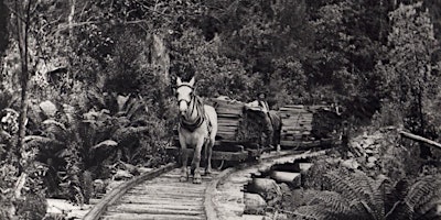 Imagen principal de Through the lens of history exhibition: a talk with local history groups