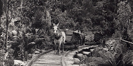 Through the lens of history exhibition: a talk with local history groups primary image