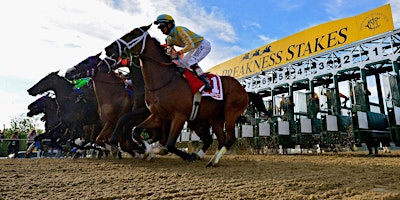Preakness Stakes Tickets primary image
