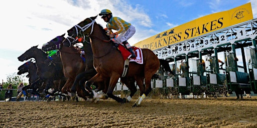 Preakness Stakes Tickets primary image