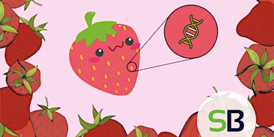 Hauptbild für April 28th - Strawberry DNA Extraction