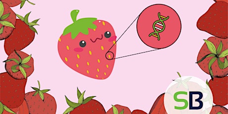 April 13th - Strawberry DNA Extraction