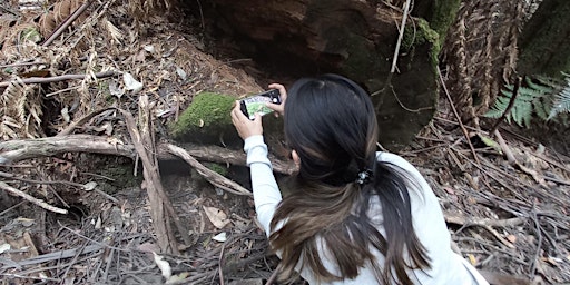 Primaire afbeelding van City Nature Challenge - Urban Bushland BioBlitz