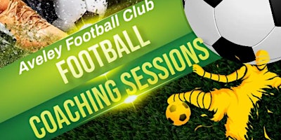 Primaire afbeelding van Aveley Football Club Coaching Session Lunch