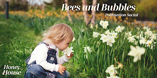 Primaire afbeelding van Bees and Bubbles Pollination Social by Honey House