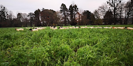 Carbon Farmer of the Year Farm Walk - Craig Livingstone, Finalist