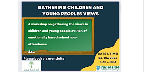 Gathering Children and Young Peoples Views at risk of EBSNA