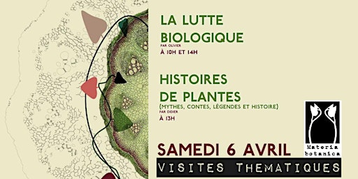 Imagem principal de La lutte biologique et Histoires de plantes : nos visites thématiques