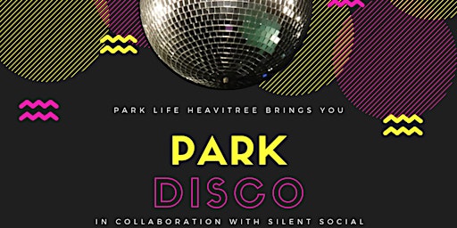 Park Disco primary image