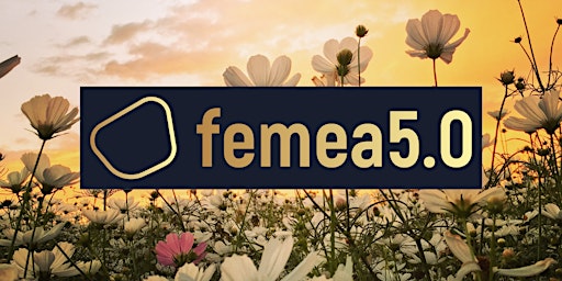 Imagem principal do evento FEMEA 5.0 April Meetup