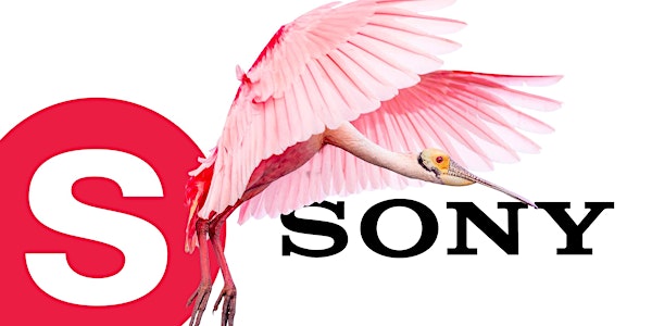 Sony Vortrag München: Das Sony ONE MOUNT