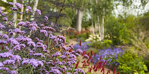 Imagem principal de Horatio's Garden Scotland Private Tour