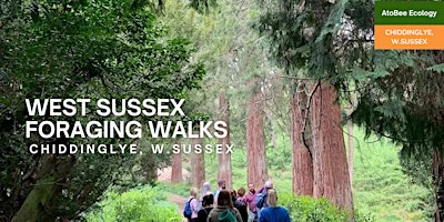 Imagem principal do evento West Sussex Foraging  Walks
