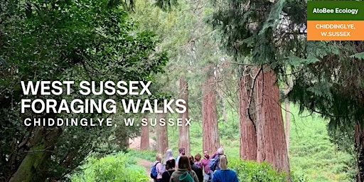 Primaire afbeelding van West Sussex Foraging  Walks